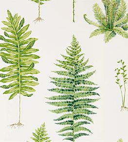 Fernery Wallpaper by Sanderson Botanical Green