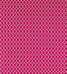 Botanic Trellis Fabric by Sanderson Rhodera