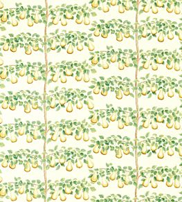 Perry Pears Fabric by Sanderson Ochre/Leaf Green