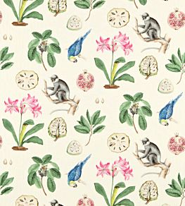 Capuchins Fabric by Sanderson Chintz