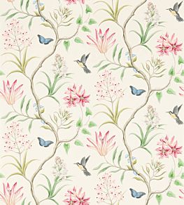 Clementine Wallpaper by Sanderson Chintz
