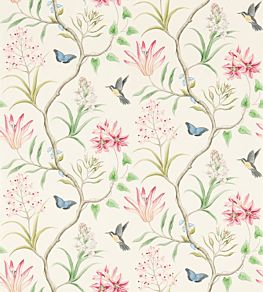 Clementine Wallpaper by Sanderson Chintz