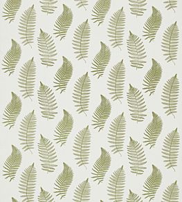 Fern Embroidery Fabric by Sanderson Moss