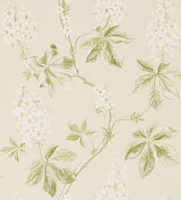 Chestnut Tree Wallpaper by Sanderson Lemon/Lettuce