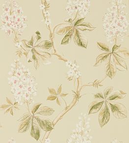 Chestnut Tree Wallpaper by Sanderson Coral/Bayleaf