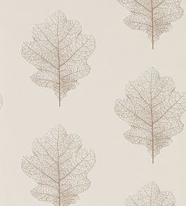 Oak Filigree Wallpaper by Sanderson Milk/Pearl