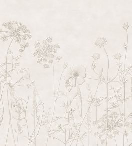 Silhouette Flowers Mural by Eijffinger White/Cream