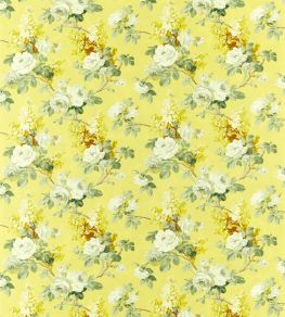 Sorilla Fabric by Sanderson Mimosa