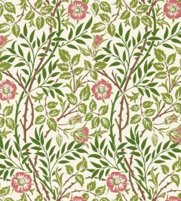 Sweet Briar Wallpaper by Morris & Co Boughs/Rose
