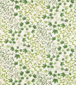 Sycamore & Oak Fabric by Sanderson Botanical Green