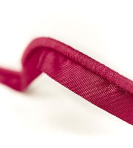 Tanfield Piping Cord Trim by Sanderson Cranberry
