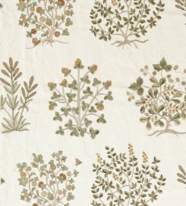 Thyme Walk Fabric by Sanderson Lichen/Gooseberry