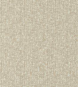 Tierra Fabric by Clarke & Clarke Antique