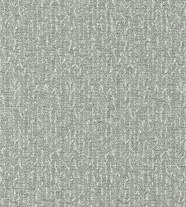 Tierra Fabric by Clarke & Clarke Charcoal
