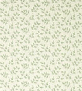 Tomato Leaf Wallpaper by Sanderson Willow