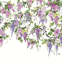 Trailing Wisteria Mural by Ohpopsi Amethyst