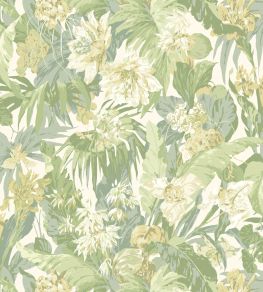 Tropical Floral Wallpaper by GP & J Baker Soft Green