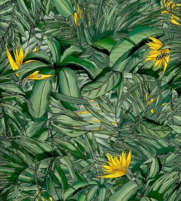 Tropical Forest Wallpaper by Brand McKenzie Dark Green / Yellow