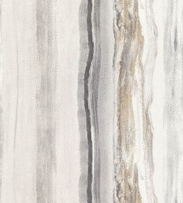 Vitruvius Wallpaper by Harlequin Cement / Slate