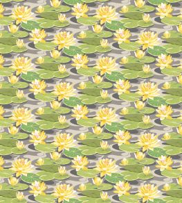 Waterlily Wallpaper by Ohpopsi Charcoal & Mustard