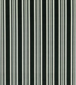 Wilmott Fabric by Clarke & Clarke Ebony