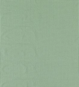 Windsor Fabric by Clarke & Clarke Racing Green