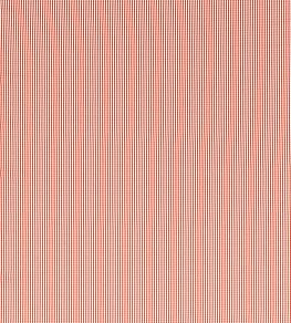 Windsor Fabric by Clarke & Clarke Rouge