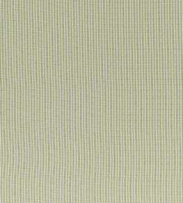 Windsor Fabric by Clarke & Clarke Sage