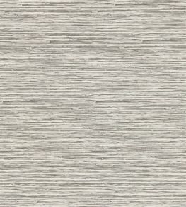 Xan Wallpaper by Clarke & Clarke Dove