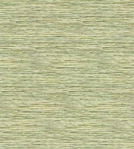 Xan Wallpaper by Clarke & Clarke Palm