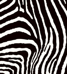 Zebra Fabric by Arley House Classic