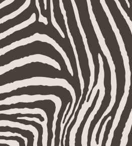 Zebra Fabric by Arley House Graphite