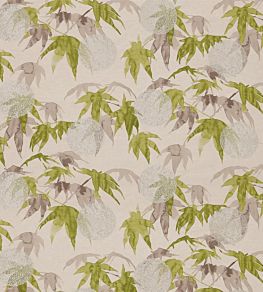 Acer Fabric by Zoffany Platinum/Leaf