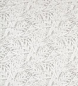 Nootka Fabric by Zoffany Empire Grey