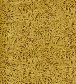Nootka Fabric by Zoffany Tigers Eye