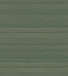 Abaca Wallpaper by Jannelli&Volpi Grass Abaca Wallpaper by Jannelli&Volpi Grass