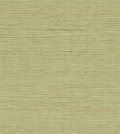 Abaca Wallpaper by Nobilis Green Abaca Wallpaper by Nobilis Green