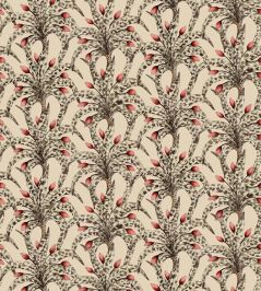 Afrika Damask Wallpaper by Cole & Son Sandstone & Ruby Afrika Damask Wallpaper by Cole & Son Sandstone & Ruby