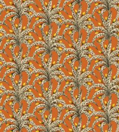 Afrika Damask Wallpaper by Cole & Son Tangerine & Marigold Afrika Damask Wallpaper by Cole & Son Tangerine & Marigold