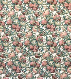 Agen Fabric by Casal Creme Agen Fabric by Casal Creme