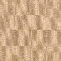 Albers Fabric by Villa Nova Honey Albers Fabric by Villa Nova Honey