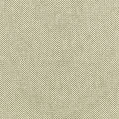 Albers Fabric by Villa Nova Rosemary Albers Fabric by Villa Nova Rosemary