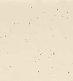 Alienor Fabric by Casamance Vanille Platine Alienor Fabric by Casamance Vanille Platine