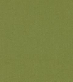 Allegra Fabric by Harlequin Avocado Allegra Fabric by Harlequin Avocado