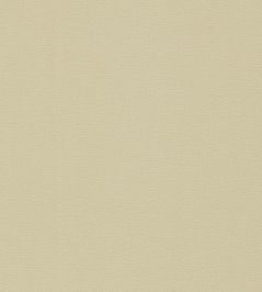 Allegra Fabric by Harlequin Fossil Allegra Fabric by Harlequin Fossil