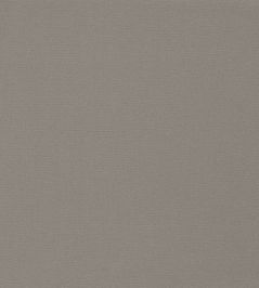 Allegra Fabric by Harlequin Husky Allegra Fabric by Harlequin Husky