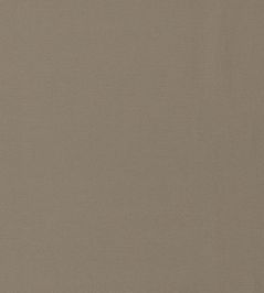 Allegra Fabric by Harlequin Incense Allegra Fabric by Harlequin Incense