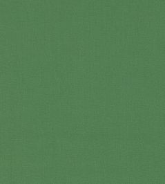 Allegra Fabric by Harlequin Nettle Allegra Fabric by Harlequin Nettle