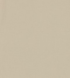 Allegra Fabric by Harlequin Oat Allegra Fabric by Harlequin Oat
