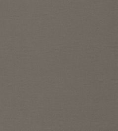 Allegra Fabric by Harlequin Pigeon Allegra Fabric by Harlequin Pigeon